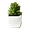 BOTANIQA ACTIVE LINE